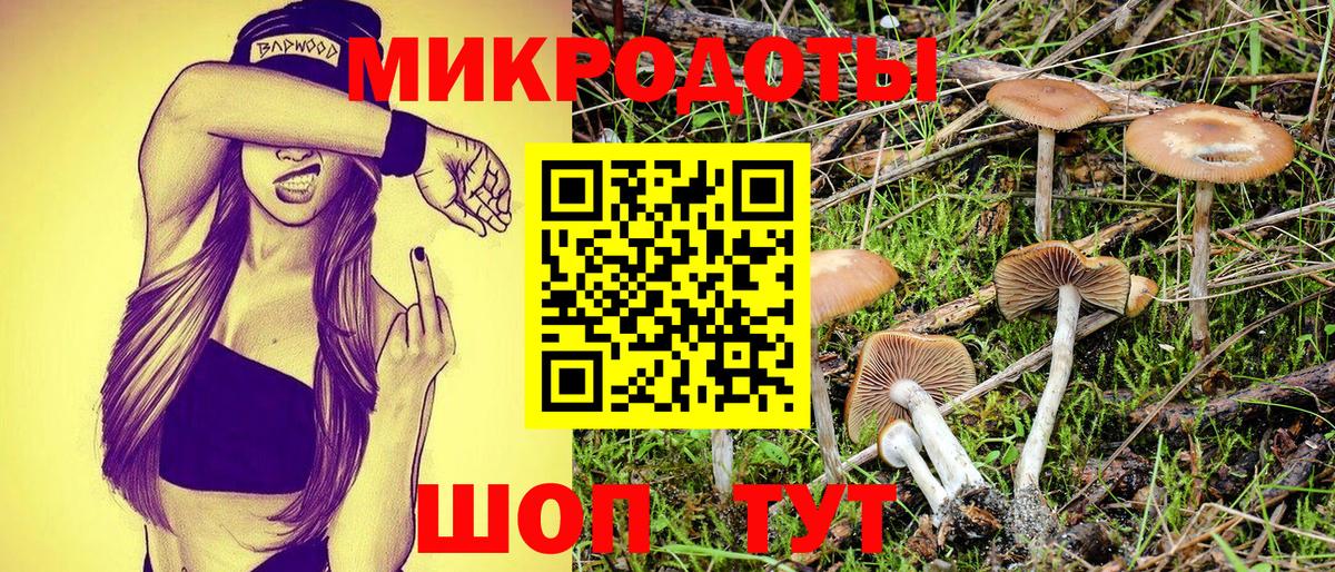 Псилоцибиновые грибы мухоморы Юрга