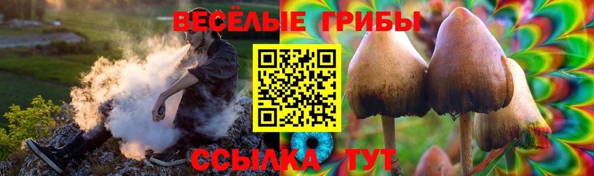 Галлюциногенные грибы ЛСД  Вход с VPN  Юрга 